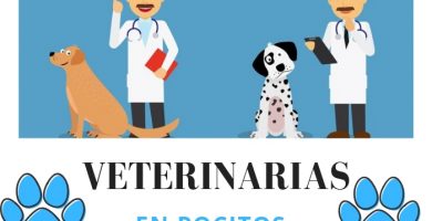 veterinarias en pocitos